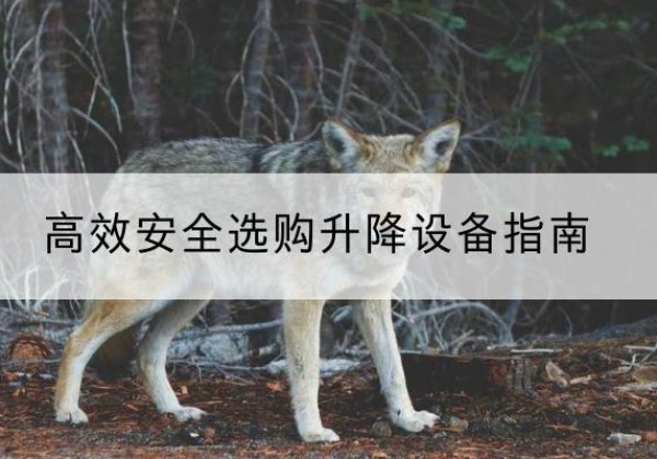 都昌升降货梯厂家推荐-*安全选购升降设备指南