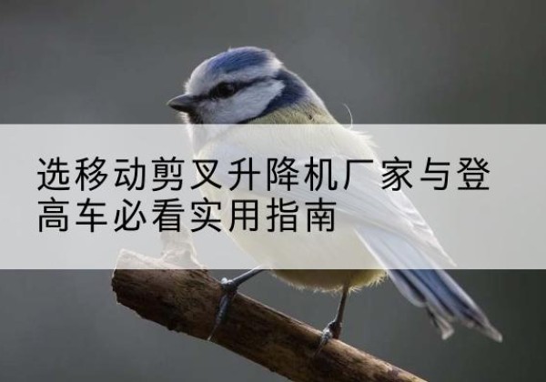 都昌电动升降机厂家-选移动剪叉升降机厂家与登高车必看实用指南