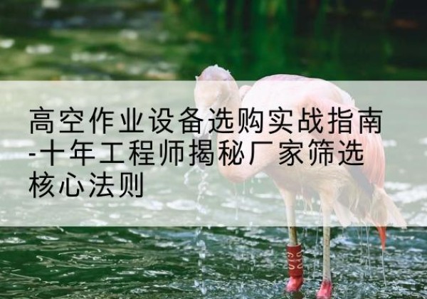 都昌剪叉式升降机厂家-高空作业设备选购实战指南-十年工程师揭秘厂家筛选核心法则